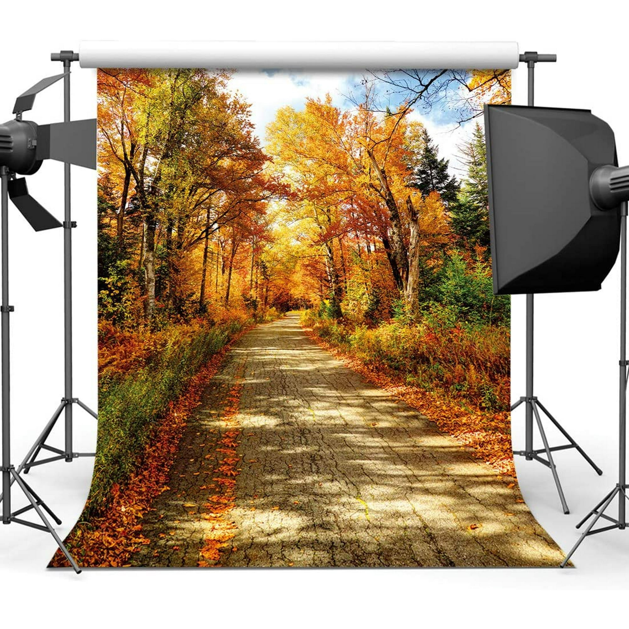 RBQOKJ 10x10ft Autumn Leaves Backdrop Golden Yellow Forest Photography Background Fall Holiday Party Photo Backdrops Studio Prop